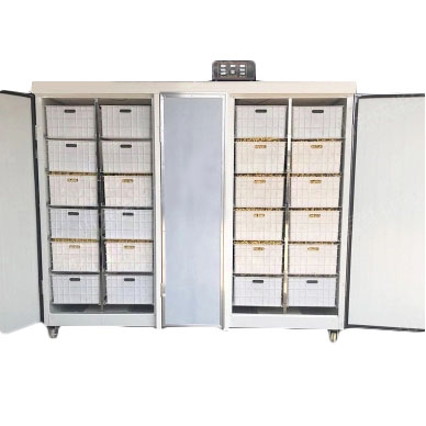 картинка Проращиватель семян, бобов, злаков BSC-400A Foodatlas от магазина Restoranshop.ru