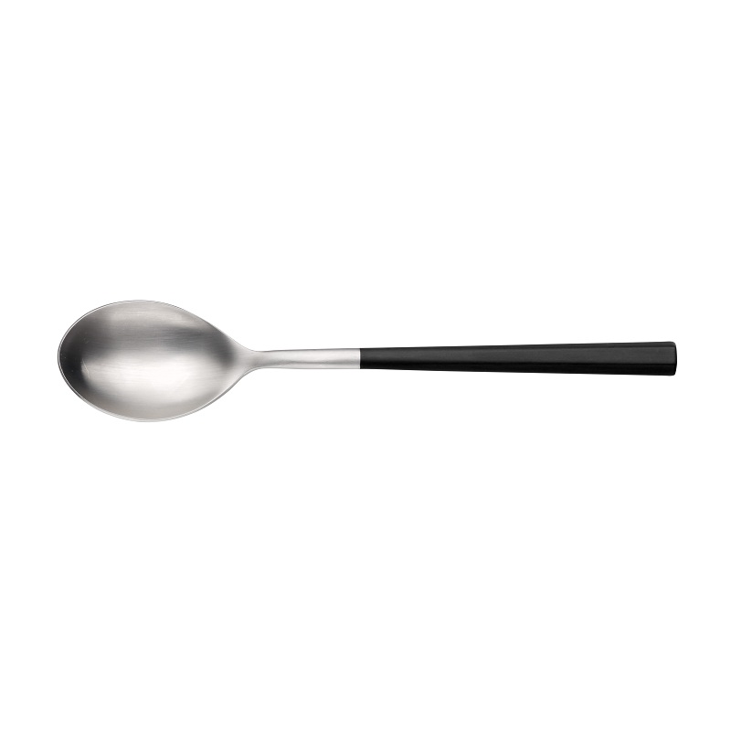картинка Ложка столовая HIVE Black 2LL00001 от магазина Restoranshop.ru
