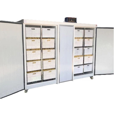 картинка Проращиватель семян, бобов, злаков BSC-300A Foodatlas от магазина Restoranshop.ru