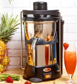 картинка СОКОВЫЖИМАЛКА SANTOS 50 от магазина Restoranshop.ru