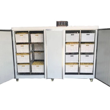 картинка Проращиватель семян, бобов, злаков BSC-500A Foodatlas от магазина Restoranshop.ru