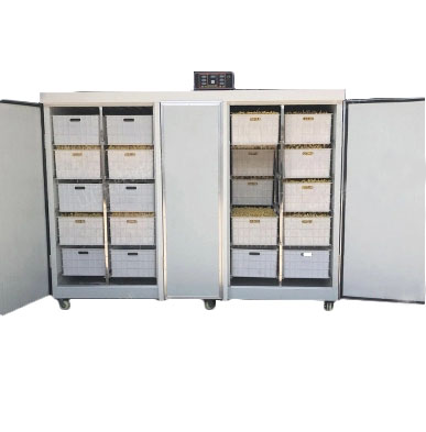 картинка Проращиватель семян, бобов, злаков BSC-600A Foodatlas от магазина Restoranshop.ru