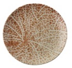 картинка Тарелка мелкая d20см, Nature Essence C 67374C02 от магазина Restoranshop.ru